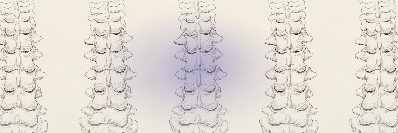 image of a spinal cord with a soft glow indicating some energy applied
